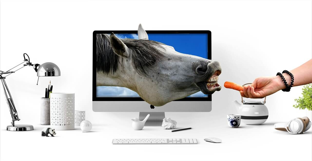 Online horse business tips