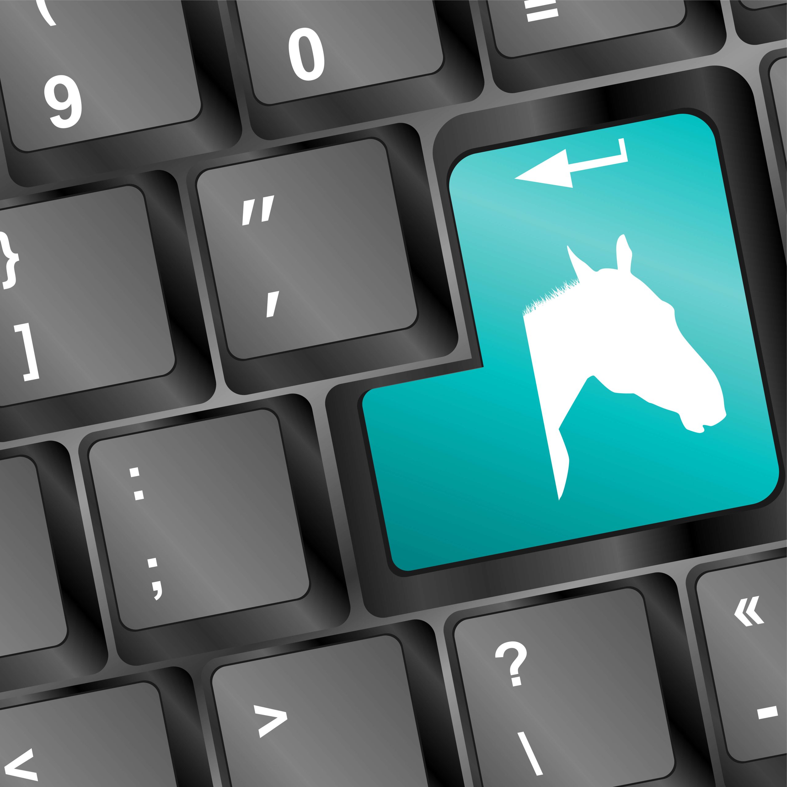 picture of a horse on a keyboard