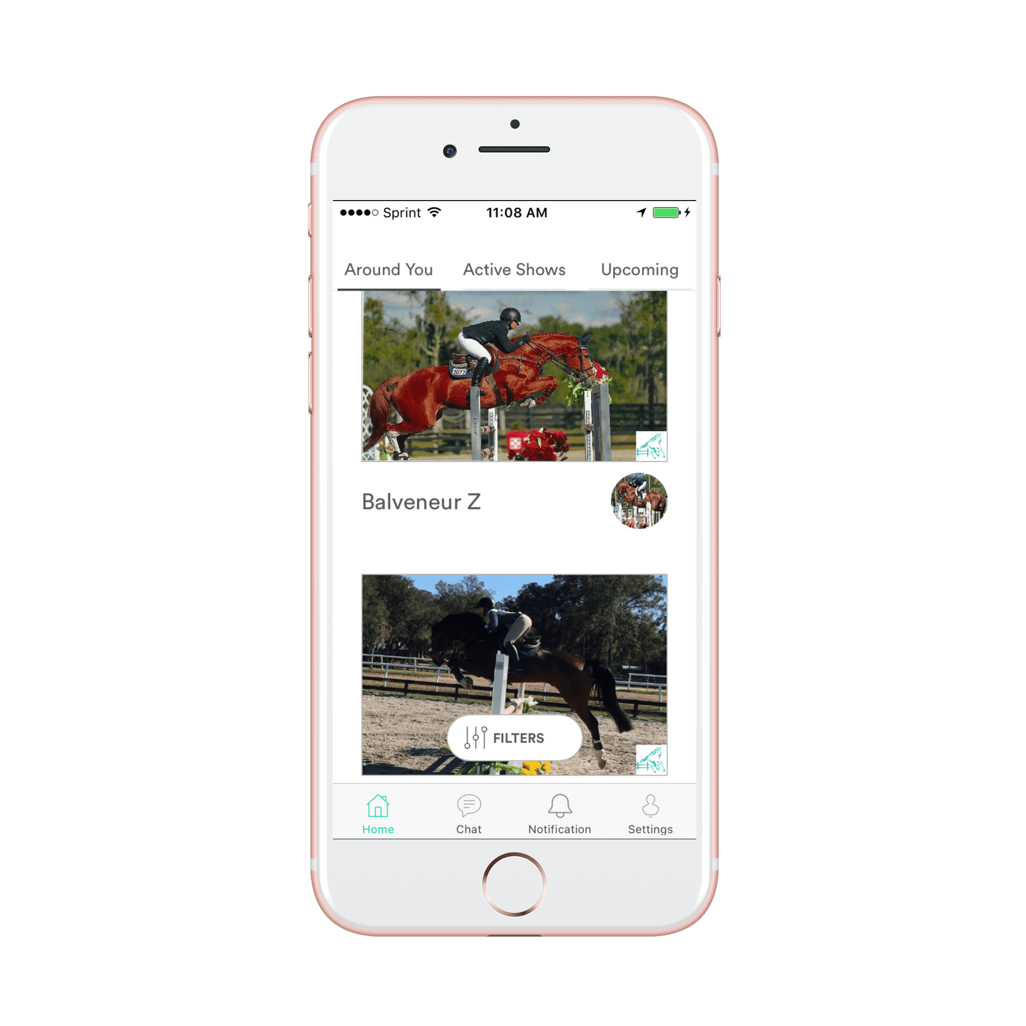 Sales Paddock The App that’s Helping the Equine Marketplace Evolve