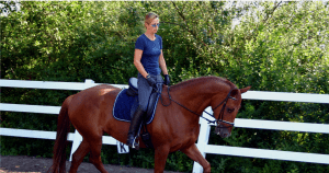 Posture on Dressage Horse