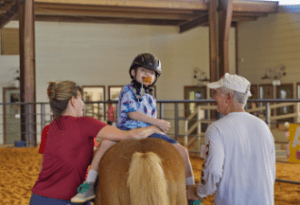 Equine Assisted Therapy