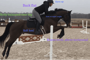 Choosing Equestrian Phtotos