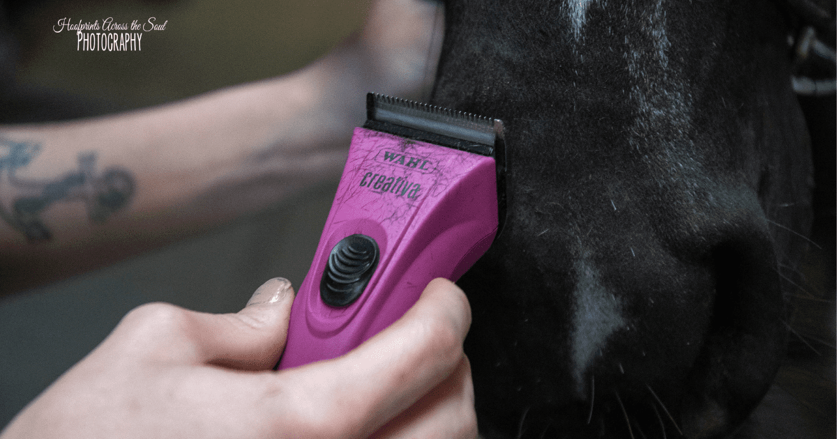 Wahl Creativa Clippers