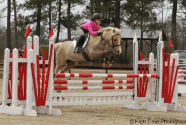 Palomino jumper